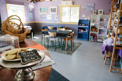 Nannup Lavender Farm - Inverell Accommodation 0