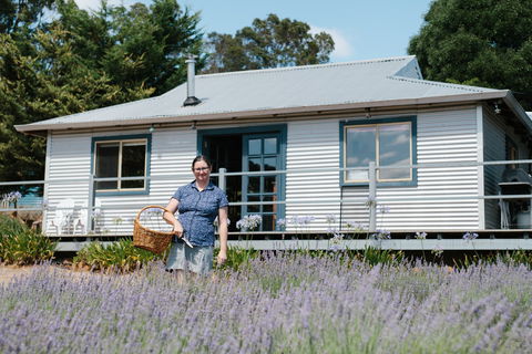 Nannup Lavender Farm - Inverell Accommodation 1