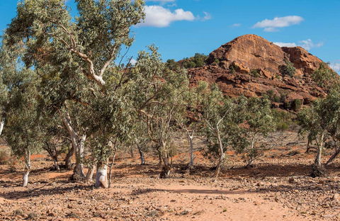 Old Coach Road Drive - Inverell Accommodation 0