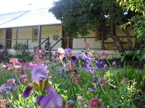 Raglan Gallery And Cultural Centre - Inverell Accommodation 0