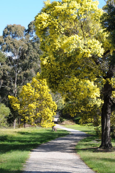Wattle Park - Inverell Accommodation 0