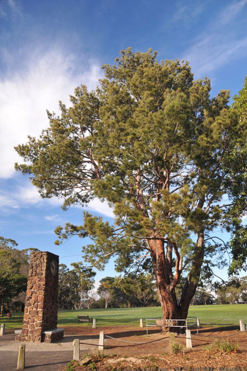 Wattle Park - Inverell Accommodation 2