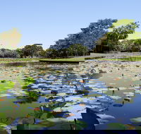 Anderson Park Botanic Gardens - Inverell Accommodation