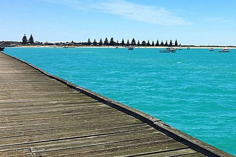 Beachport Jetty - Inverell Accommodation 1