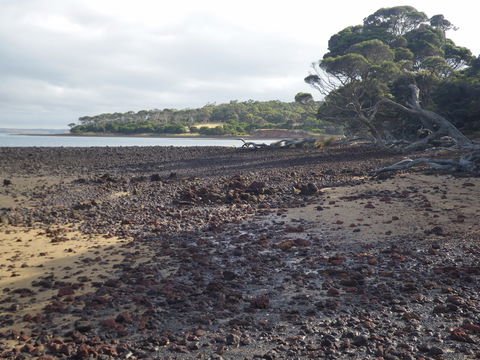 Churchill Island Marine National Park - Inverell Accommodation 0