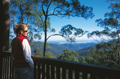 D'Aguilar National Park - Inverell Accommodation 0