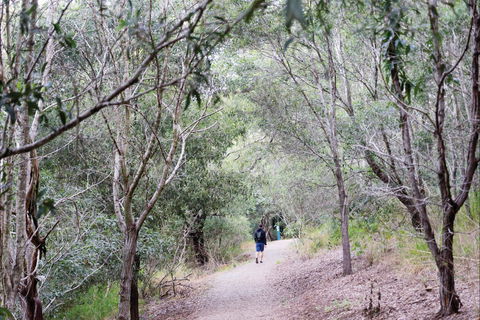 D'Aguilar National Park - Inverell Accommodation 2