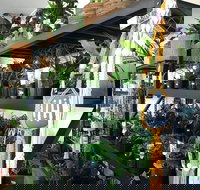 Fancy Plants - Inverell Accommodation