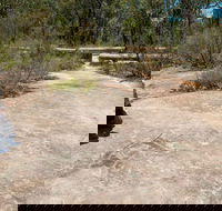 Finchley Cultural Walk - Inverell Accommodation
