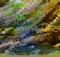 Glimpse of the Outback 5 Day Tour - Roma and Surrounds - Inverell Accommodation
