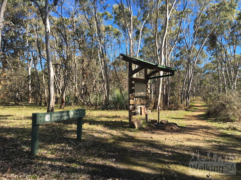 Kaiserstuhl Conservation Park - Inverell Accommodation 0