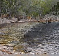 Lake Rowallan - Inverell Accommodation