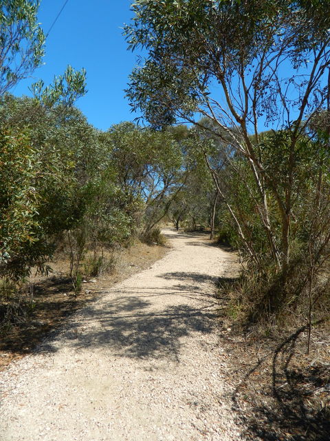 Meningie Lions Walking Trail - Inverell Accommodation 2