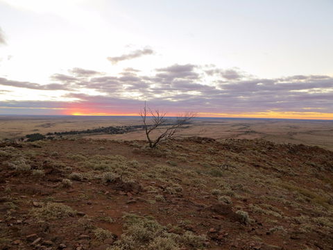 Mundi Mundi Plains - Inverell Accommodation 0