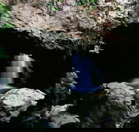 Natural Bridge Circuit Springbrook National Park - Inverell Accommodation