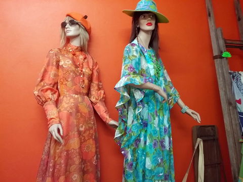 Orange Daze - Inverell Accommodation 0