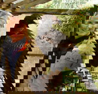 Raptor Domain - Inverell Accommodation