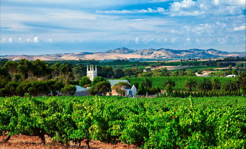 Seppeltsfield Road Barossa Valley - Inverell Accommodation 1