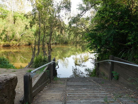 Shapcott Park - Inverell Accommodation 0