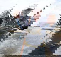 Tiddy Widdy Beach - Inverell Accommodation