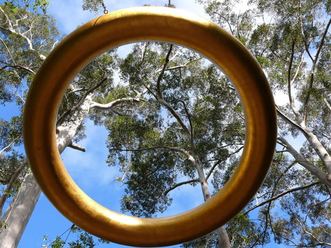 Walpole Wilderness Discovery Centre - Inverell Accommodation 2
