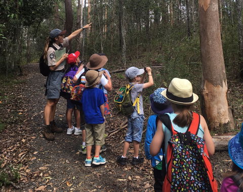 Walkabout Creek Discovery Centre - Inverell Accommodation 1