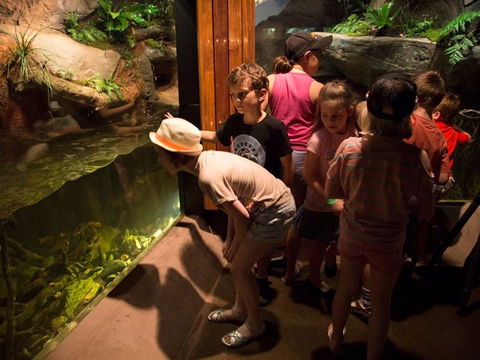 Walkabout Creek Discovery Centre - Inverell Accommodation 2