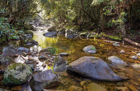 Washpool Walking Track - Inverell Accommodation 0