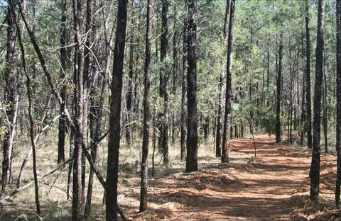Yana-y Warruwi Walking Track - Inverell Accommodation 0