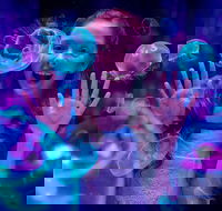 Australia's Sea World - Inverell Accommodation