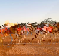 Broken Hill Camels - Inverell Accommodation