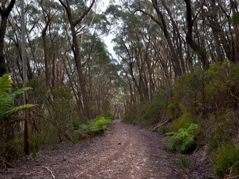 Budawang National Park - Inverell Accommodation 1