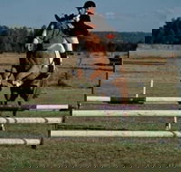 Camden Bicentennial Equestrian Park - Inverell Accommodation
