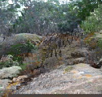 Dergholm State Park - Inverell Accommodation