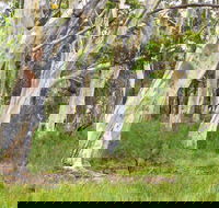 Freshwater track - Inverell Accommodation