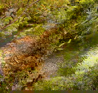 Girrakool loop track - Inverell Accommodation