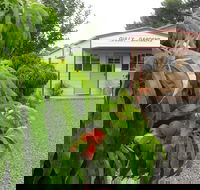 Gully Gardens - Inverell Accommodation