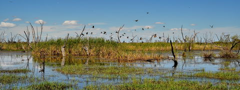 Gwydir Wetlands Moree - Inverell Accommodation 1