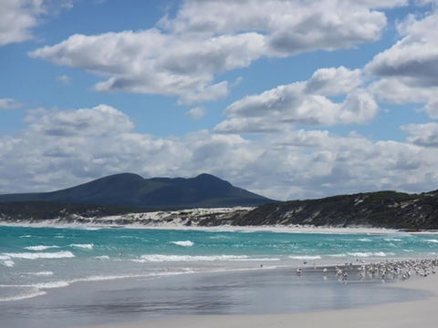 Hakea Walk Trail, East Fitzgerald National Park - Inverell Accommodation 0
