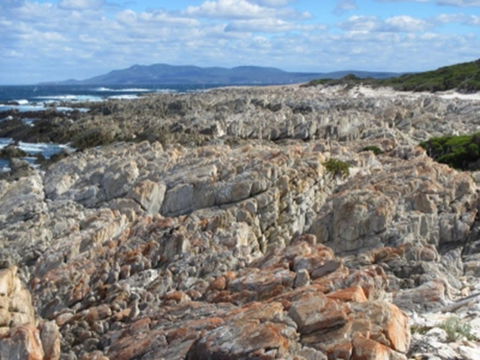 Hakea Walk Trail, East Fitzgerald National Park - Inverell Accommodation 1