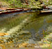 Hominy Creek Walking Track - Inverell Accommodation