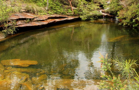 Hominy Creek Walking Track - Inverell Accommodation 0