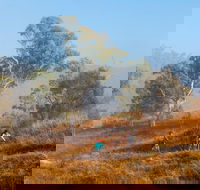 Kambah Pool to Pine Island Walking Trail - Inverell Accommodation