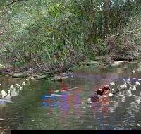 Kerewong State Forest - Inverell Accommodation