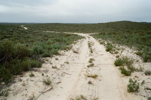 Ngarkat Conservation Park - Inverell Accommodation 0