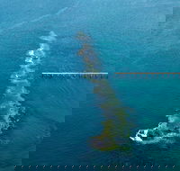 Port Noarlunga Reef Sanctuary Zone - Encounter Marine Park - Inverell Accommodation