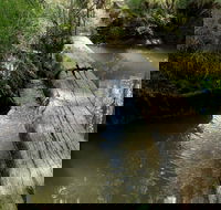 Second Ponds Creek Walk - Inverell Accommodation