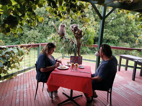 The Aussie Stop Offering Breakfast With Koalas - Inverell Accommodation 0