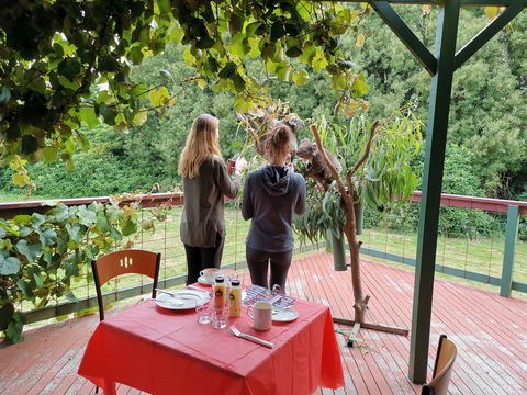 The Aussie Stop Offering Breakfast With Koalas - Inverell Accommodation 2