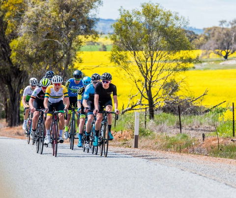 The West Side Story - Avon River Cycle Trail - Inverell Accommodation 1